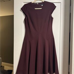 Elegant Burgundy Dress
